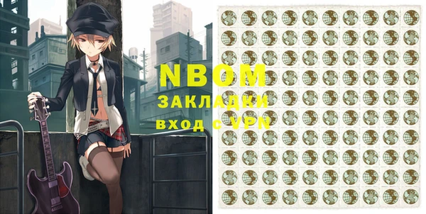 индика Баксан