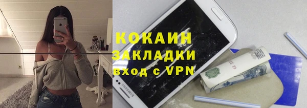 индика Баксан
