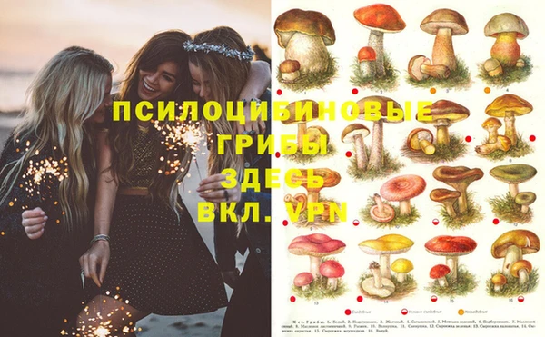 индика Баксан