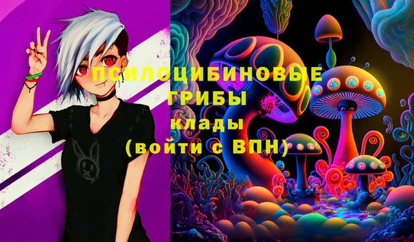 индика Баксан