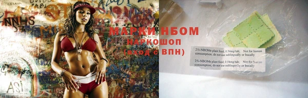 индика Баксан