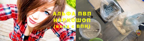 индика Баксан