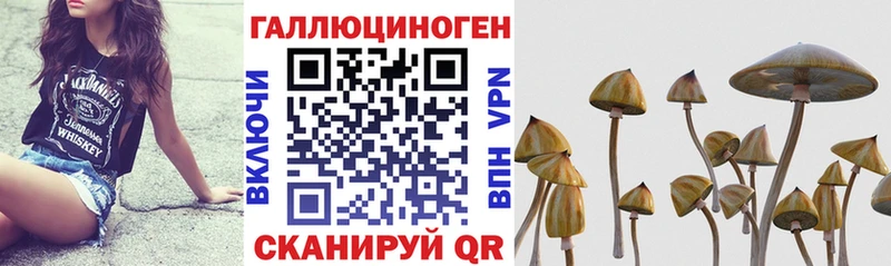 Купить где  Липки  Псилоцибиновые грибы MAGIC MUSHROOMS 